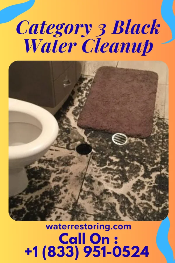 Category 3 Black Water Cleanup in Pomeroy, OH